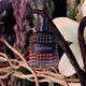 Eau de Parfum Intense - Valentino - BORN IN ROMA UOMO - Imagem 10
