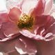 Eau de Parfum Intense Recarga - CHLOÉ - CHLOÉ ROSE NATURELLE - Imagem 2