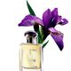Secret VIII - De Lumière et d'Ombre EDP - Eisenberg - Les Orientaux Latins - Imagem 3