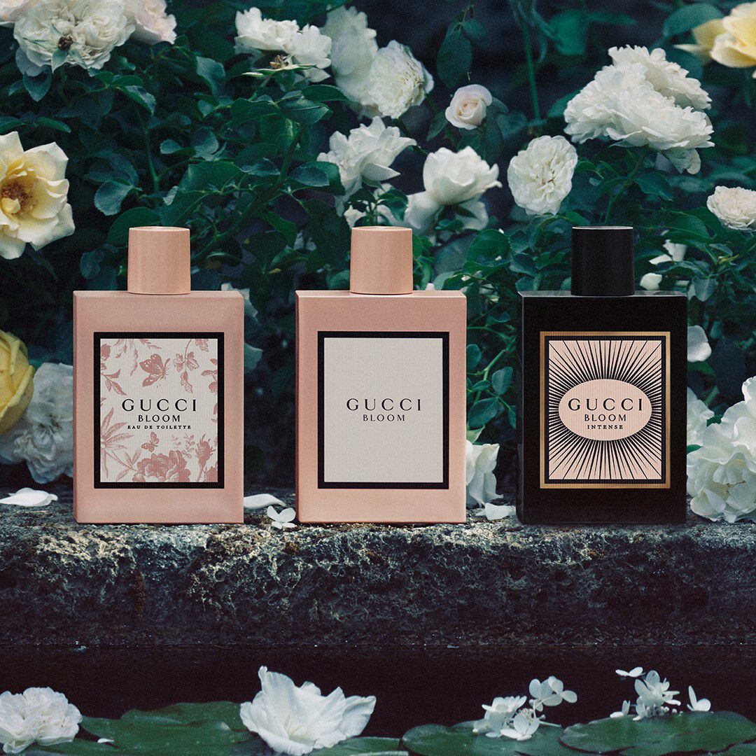 INTENSE EAU DE PARFUM - GUCCI - GUCCI BLOOM - Imagem 3