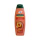 Champ&ocirc; 2 em 1 - PALMOLIVE -  - Imagem 1