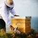 Condicionador Repairing & Replumping Care - GUERLAIN - ABEILLE ROYALE - Imagem 4