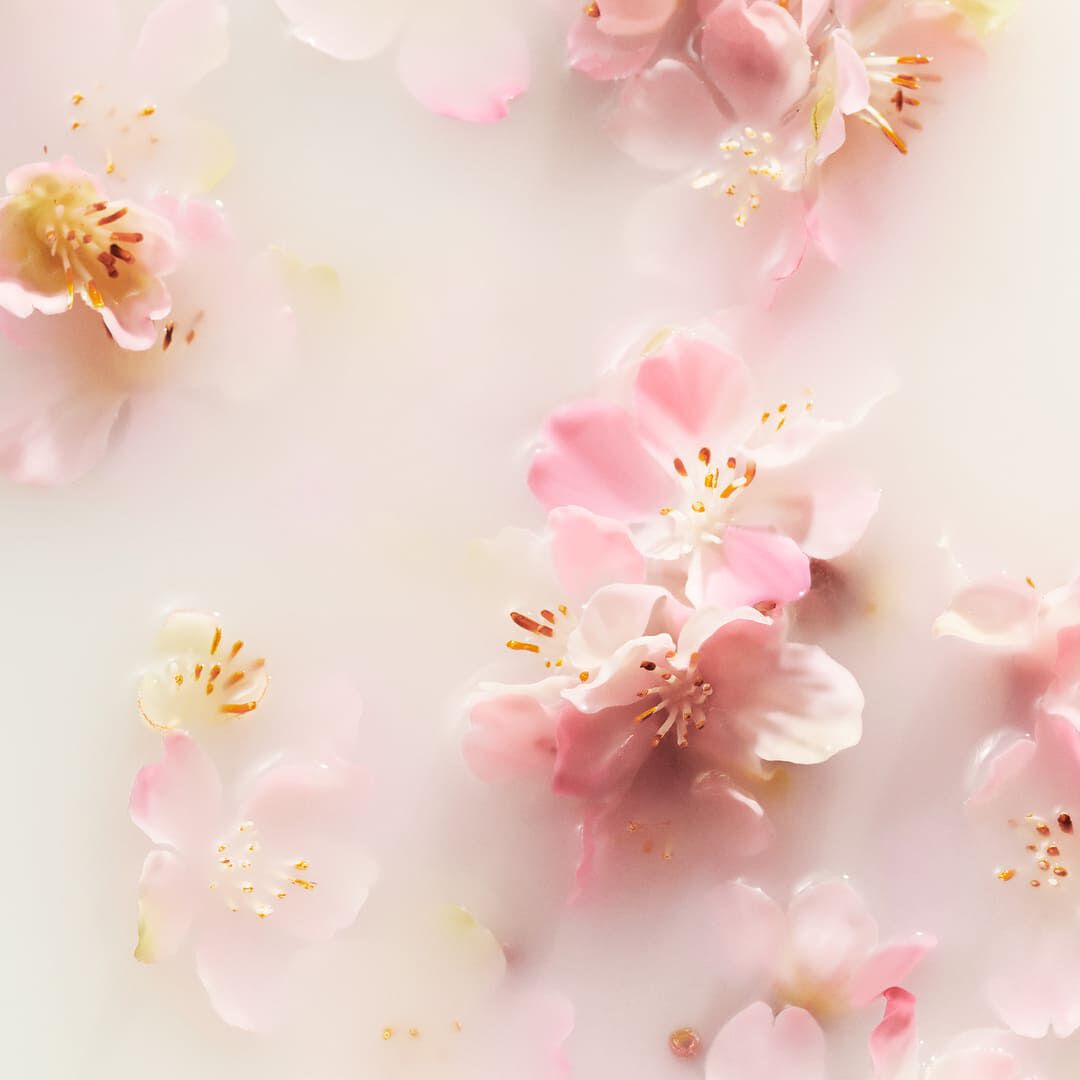 Life is a Journey - Sakura Car Perfume - Rituals - Sakura - Imagem 2