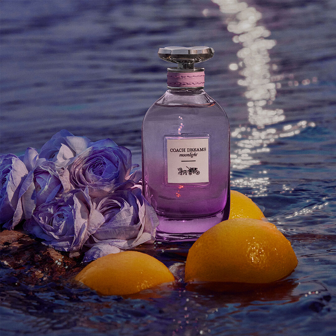 Eau de Parfum - COACH - Coach Dreams Moonlight - Imagem 3