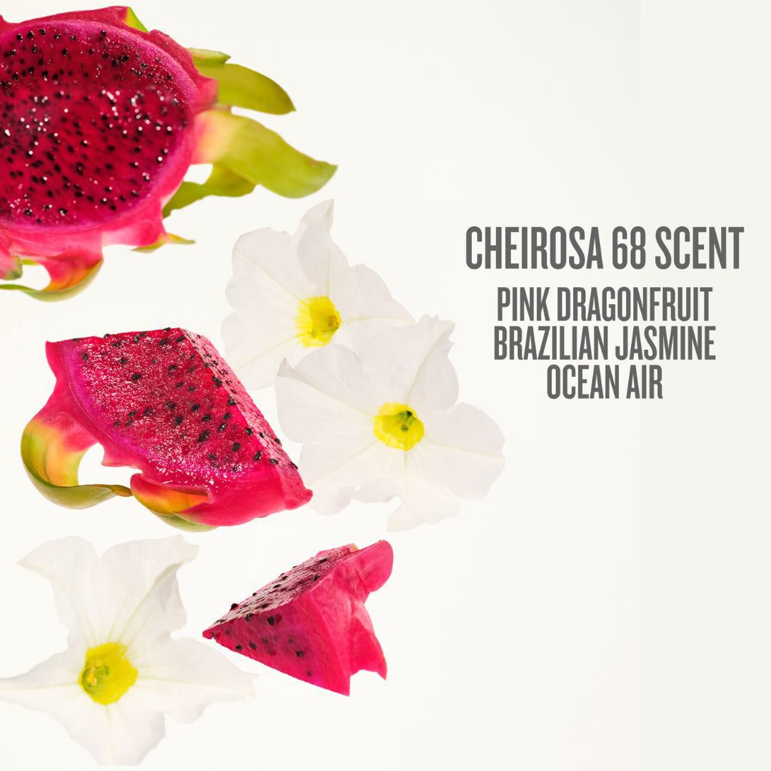 Elasti-Body Oil - &Oacute;leo Para o corpo - Sol de Janeiro - Beja Flor - Imagem 6