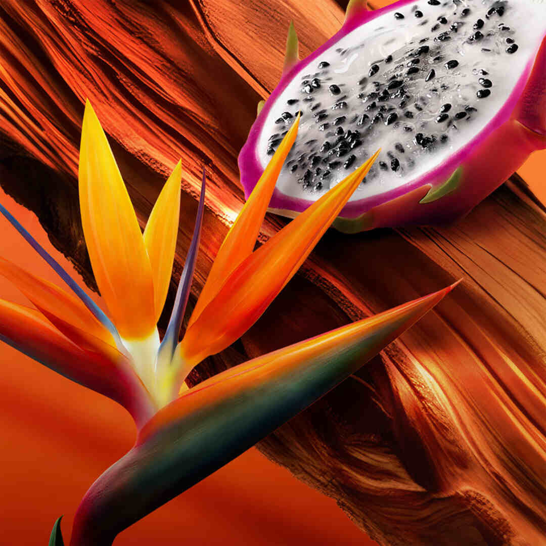 Eau de Toilette - ESCADA - Bali Paradise - Imagem 4