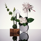 Eau de Toilette - CAROLINA HERRERA - 212/S - Imagem 6