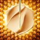 CREME RICO HONEY TREATMENT - GUERLAIN - ABEILLE ROYALE - Imagem 4