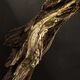 Parfum Intense - HUGO BOSS - Boss Bottled Absolu - Imagem 8