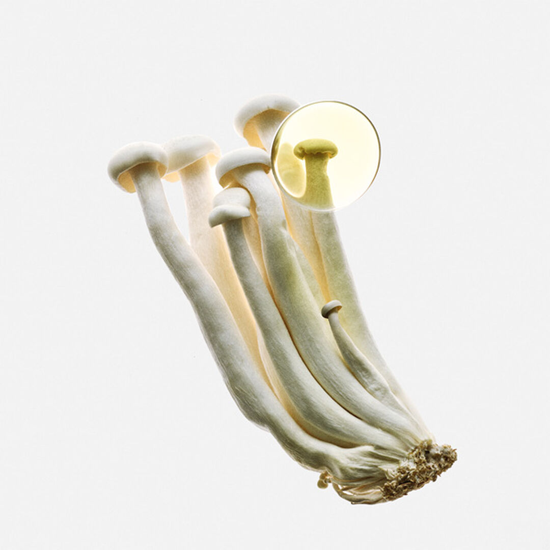 Elixir - Eau de Parfum - LOEWE - LOEWE EARTH - Imagem 5