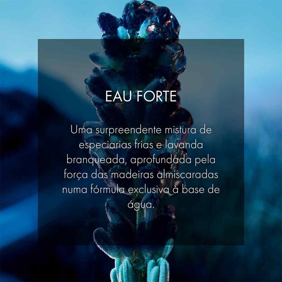 Eau Forte - Parfum - Dior - SAUVAGE - Imagem 2 Eau Forte - Parfum - Dior - SAUVAGE - Imagem 2
