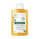 Champô Nutritivo Tamanu e Monoï - KLORANE -  - Imagem 1