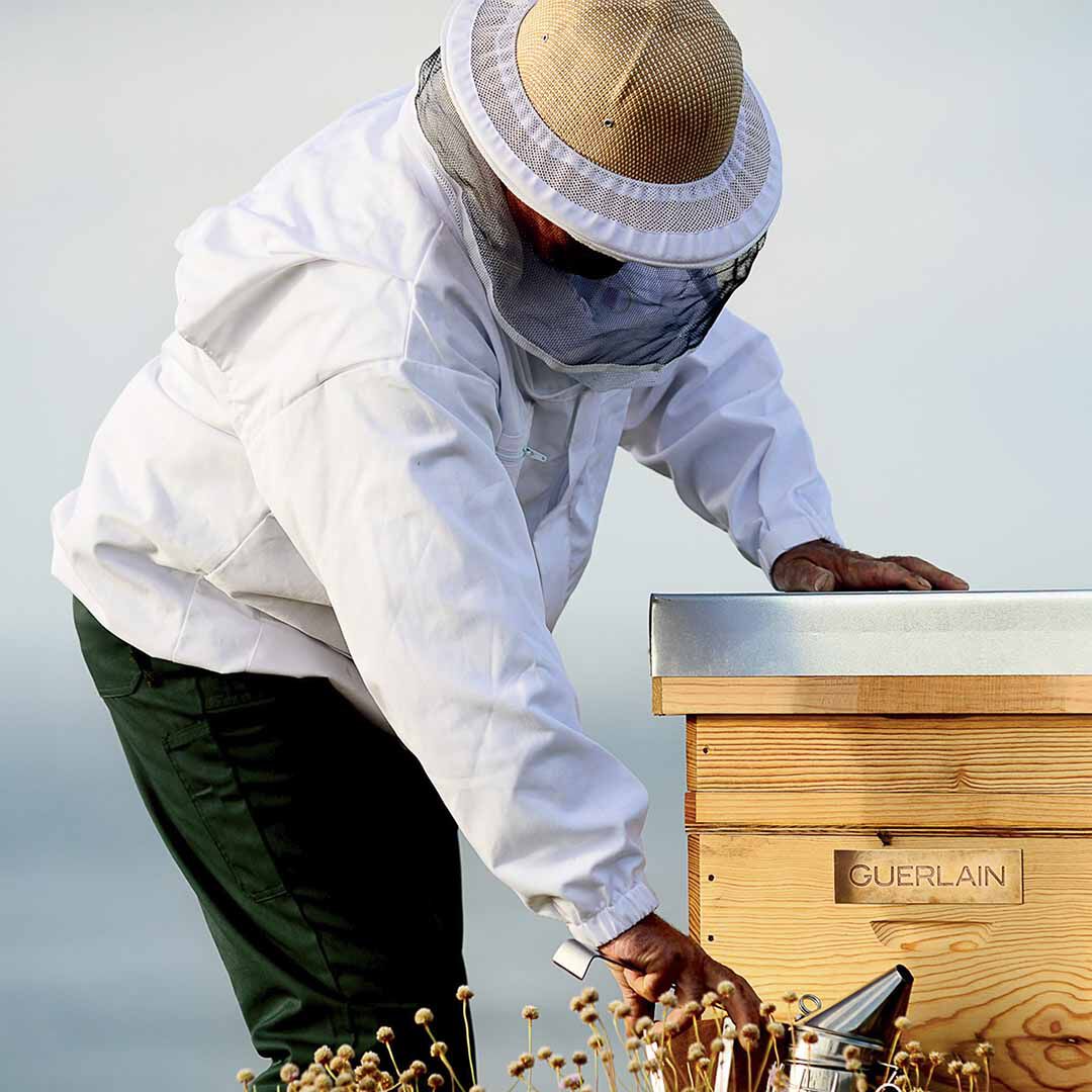 Creme de Dia Honey Treatment - Recarga - GUERLAIN - ABEILLE ROYALE - Imagem 5