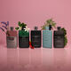 Eau de Parfum Pour Homme - GUCCI - Gucci Guilty Love Edition PH - Imagem 5