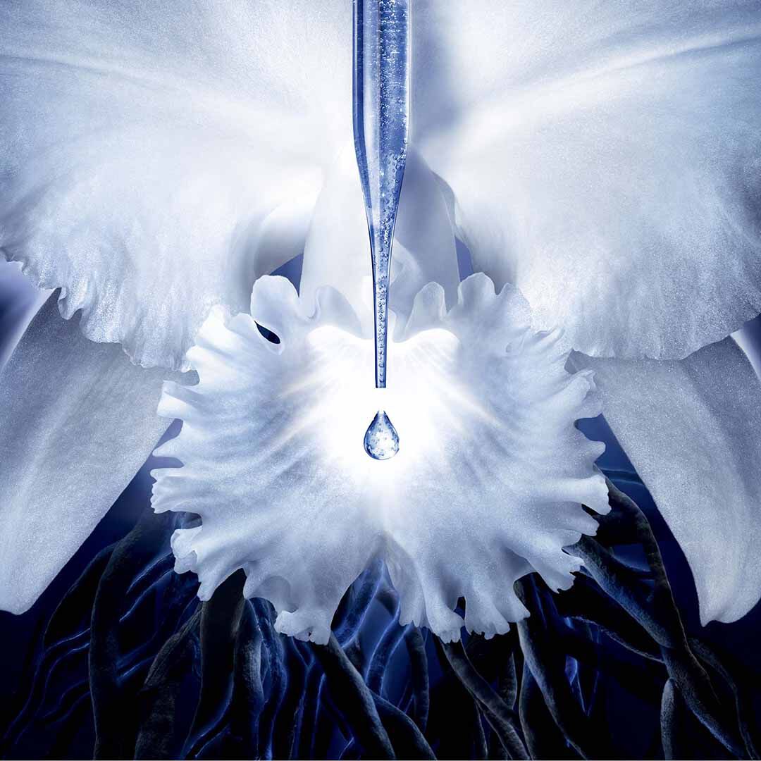 Orchidée Impériale Creme de Contorno de Olhos com Concentração Molecular - GUERLAIN - ORCHIDÉE IMPÉRIALE - Imagem 3
