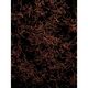 Eau de Toilette - RALPH LAUREN - POLO RED - Imagem 7