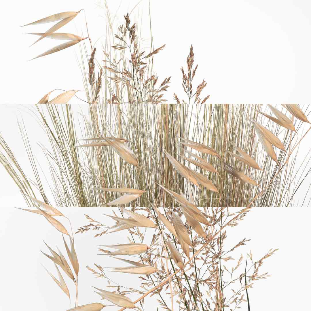 Un Jardin à Cythère Eau de Toilette - Hermès - COLEÇÃO PARFUMS-JARDINS - Imagem 8