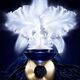 Creme Ligeiro - GUERLAIN - ORCHIDÉE IMPÉRIALE - Imagem 7