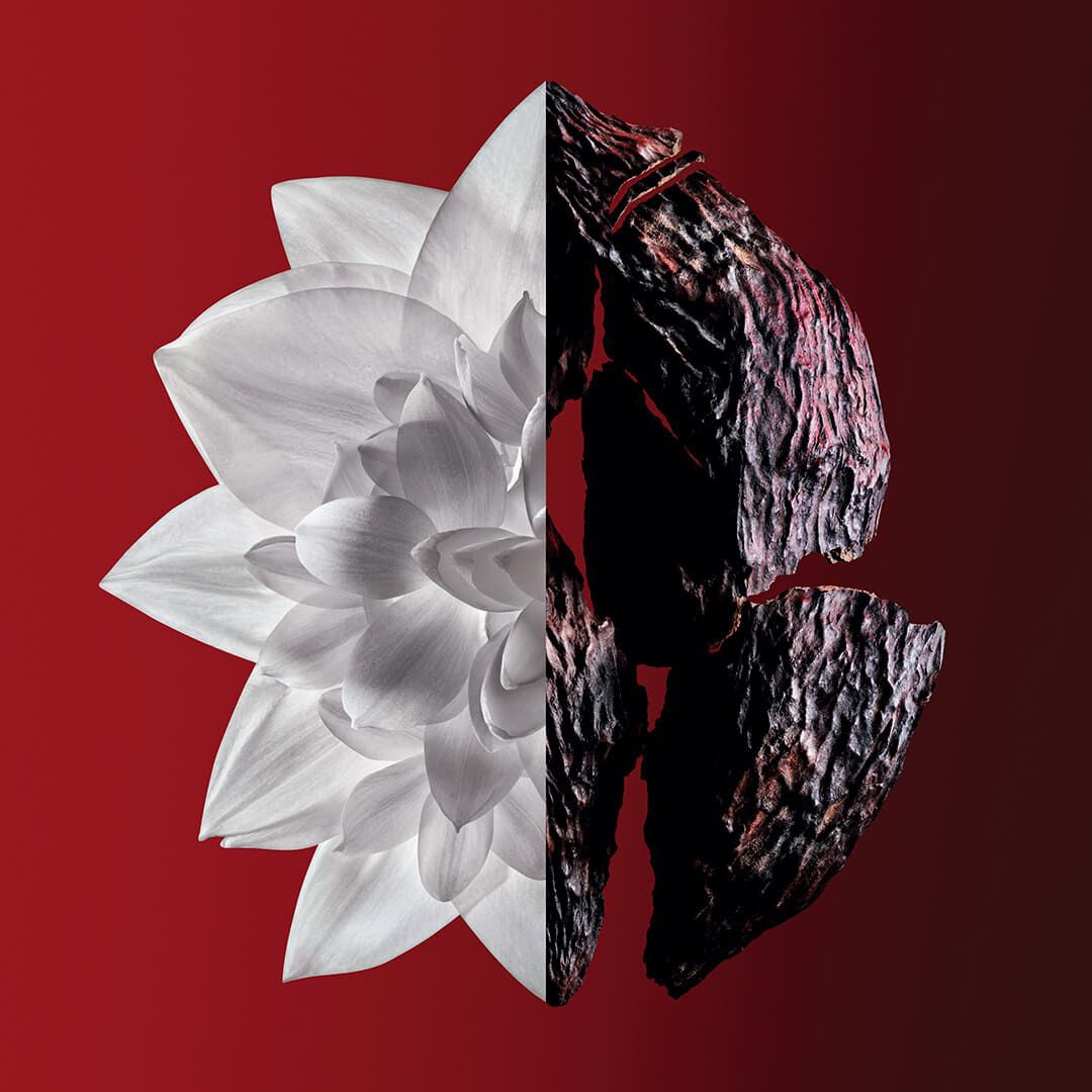 Eau de Parfum Rouge Ultime - GIVENCHY - L'INTERDIT - Imagem 2