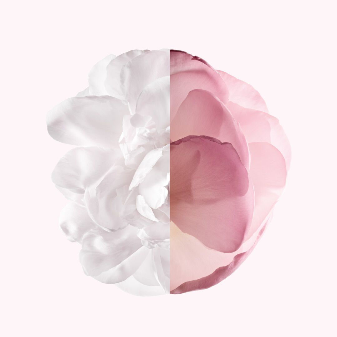 Eau de Parfum Very Floral - GIVENCHY - IRRESISTIBLE - Imagem 5