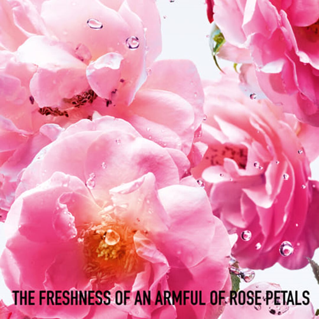 Rose N Roses Eau de Toilette - Dior - MISS DIOR - Imagem 4