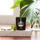 VELA PERFUMADA PORTUS CALE BLACK EDITION - Castelbel - Portus Cale - Imagem 2