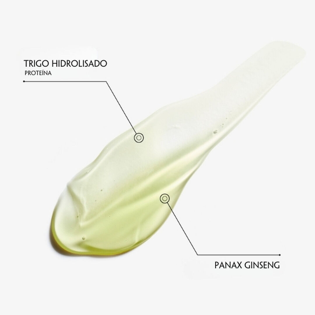 Duo Essentiel - Eisenberg - Homme - Imagem 2