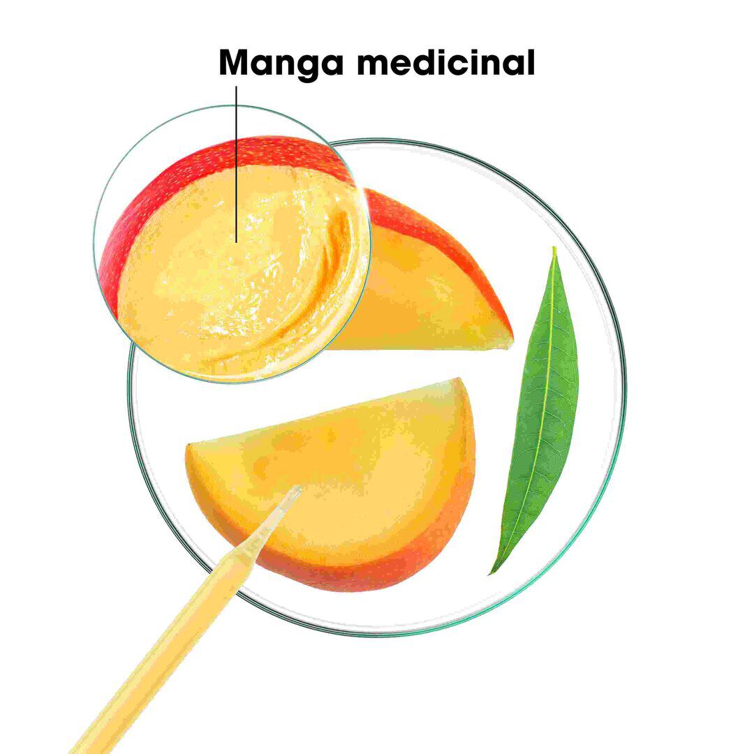 M&aacute;scara Manteiga de Manga - KLORANE -  - Imagem 4