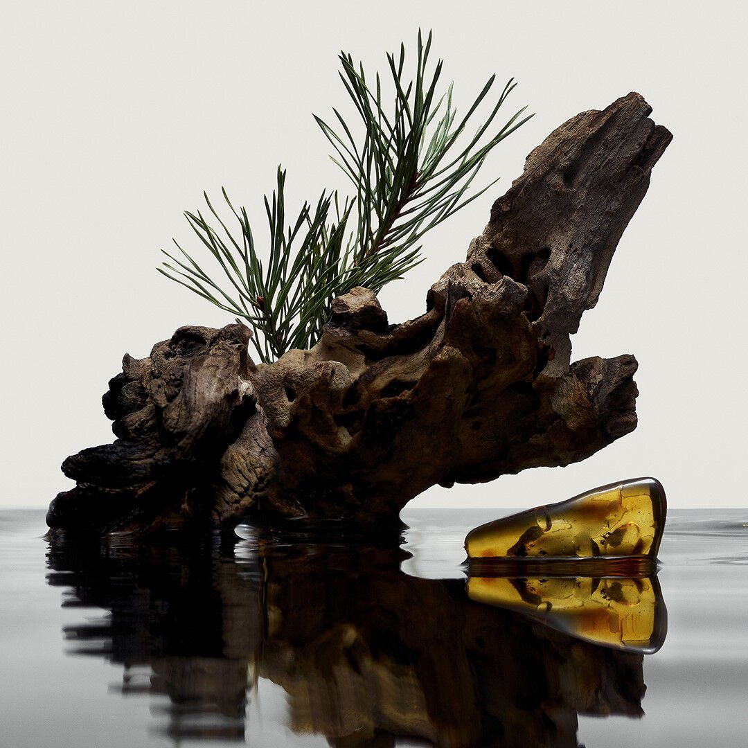 Eau de Parfum - BURBERRY - Burberry Hero - Imagem 12
