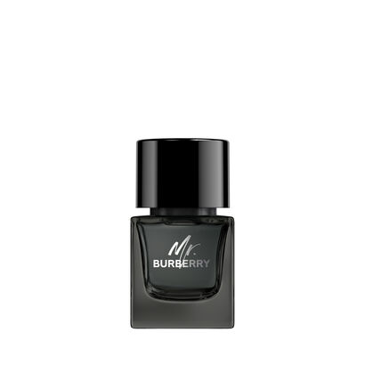 Eau de Parfum - BURBERRY - MR BURBERRY - Imagem