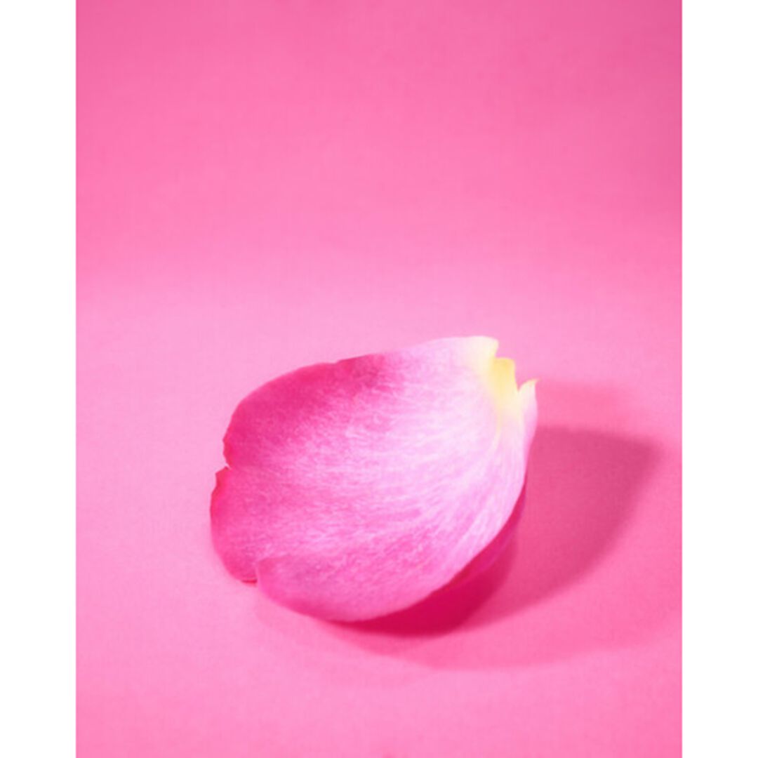 Eau de Toilette - ESCADA - ESCADA CANDY LOVE - Imagem 5