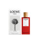 Eau de Parfum - LOEWE - LOEWE SOLO VULCAN - Imagem 3