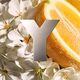 Eau Fraiche Eau de Toilette - Yves Saint Laurent - YSL Y/H EAU FRAICHE - Imagem 2