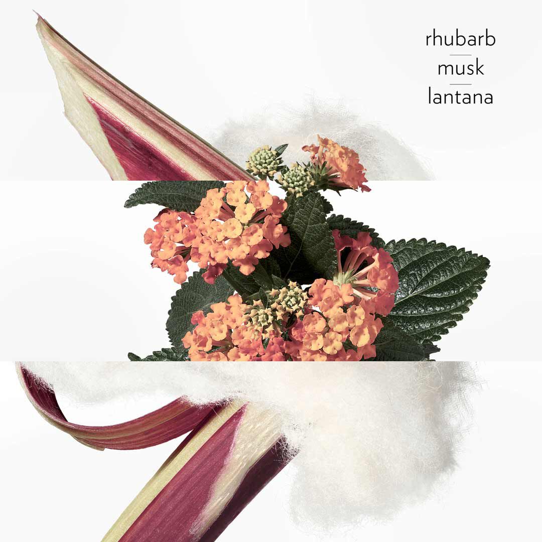 Eau de Rhubarbe Écalarte - Hermès - COLEÇÃO COLOGNES - Imagem 7