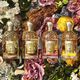 Rosa Palissandro Eau de Parfum - GUERLAIN - AQUA ALLEGORIA FORTE - Imagem 2