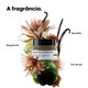 Absolut Repair Molecular M&aacute;scara - L'OR&Eacute;AL PROFESSIONNEL - SERIE EXPERT - Imagem 7