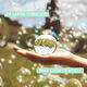 Eau de Toilette - CACHAREL - Noa - Imagem 11
