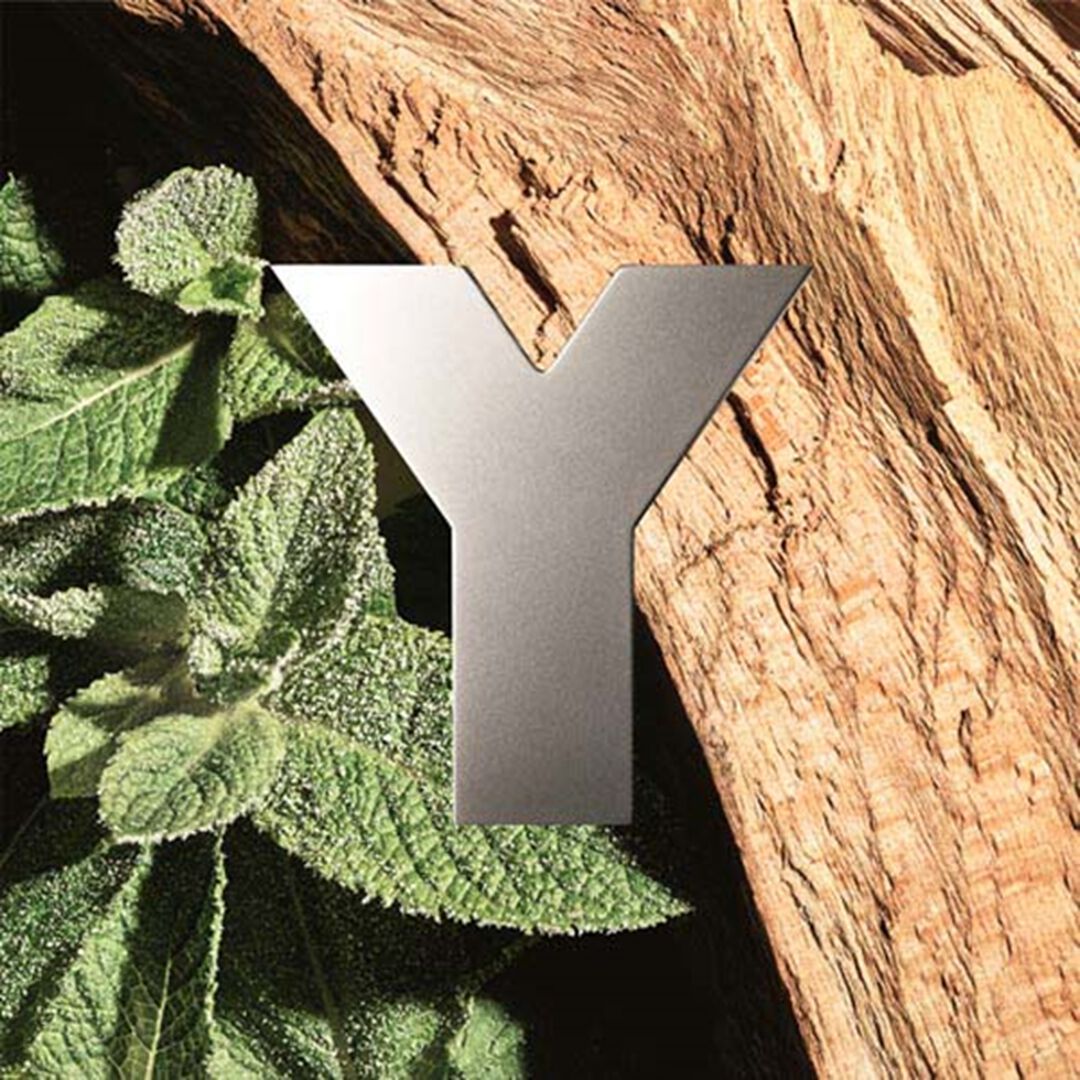 Eau Fraiche Eau de Toilette - Yves Saint Laurent - YSL Y/H EAU FRAICHE - Imagem 4
