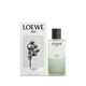 Sutileza Elixir - LOEWE - LOEWE AIRE - Imagem 2