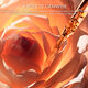 La Micro-Huile de Rose Activated Serum - Dior - Dior Prestige - Imagem 3