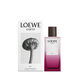 Elixir - Eau de Parfum - LOEWE - LOEWE EARTH - Imagem 6