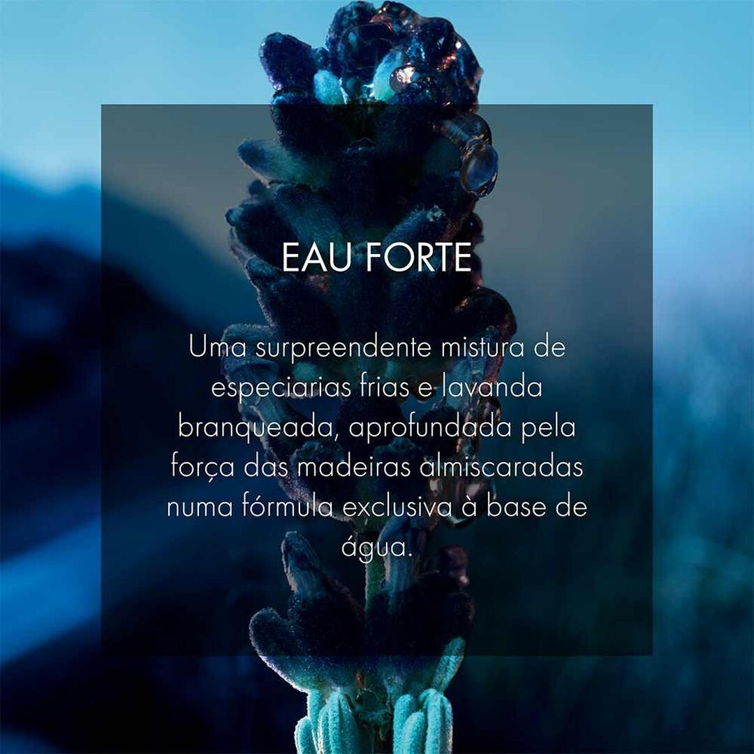 Eau Forte - Parfum - Dior - SAUVAGE - Imagem 2