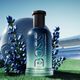 Eau de Parfum - HUGO BOSS - Hugo Boss Lavender - Summer - Imagem 3