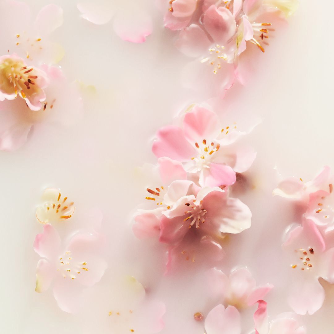 Large Gift Set - Rituals - Sakura - Imagem 3