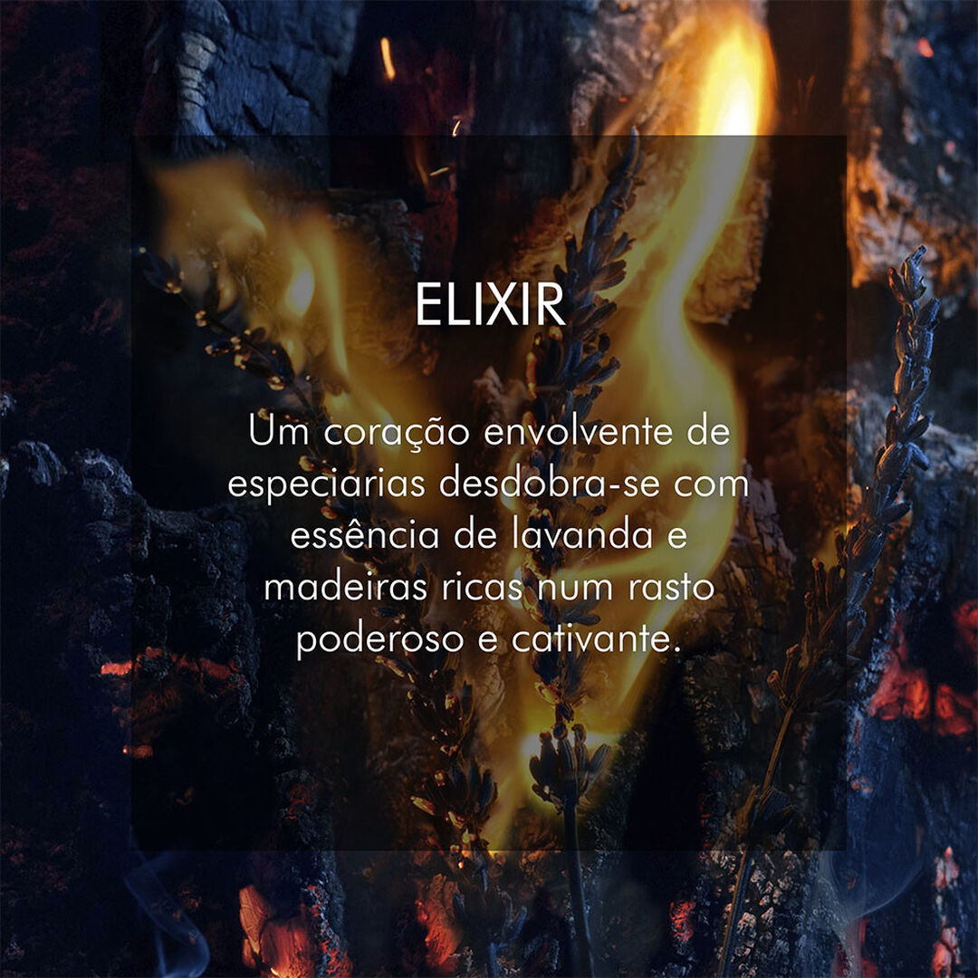 Parfum - Dior - Sauvage Elixir - Imagem 5