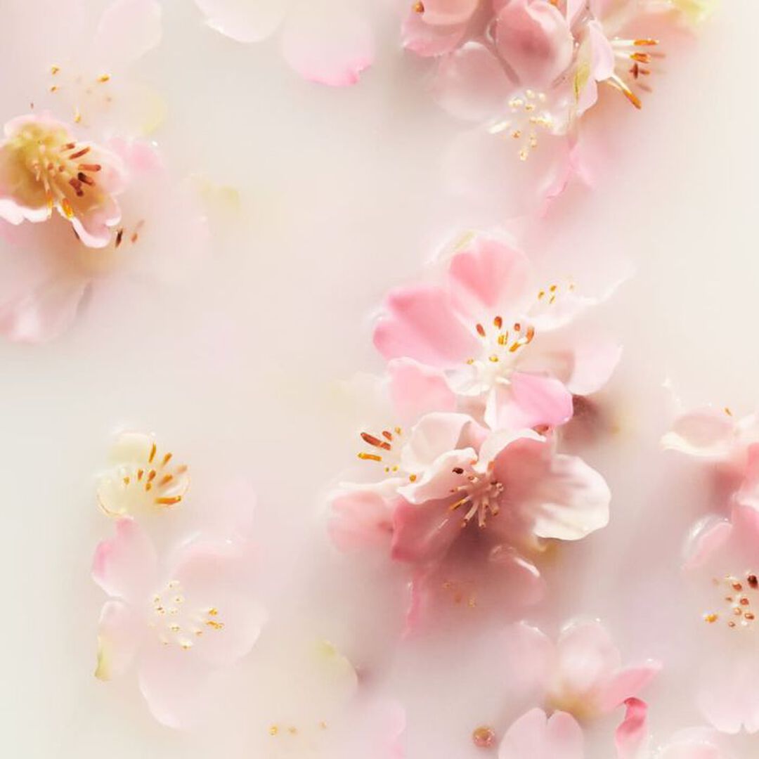 Parfum d'Interieur - Rituals - Sakura - Imagem 2