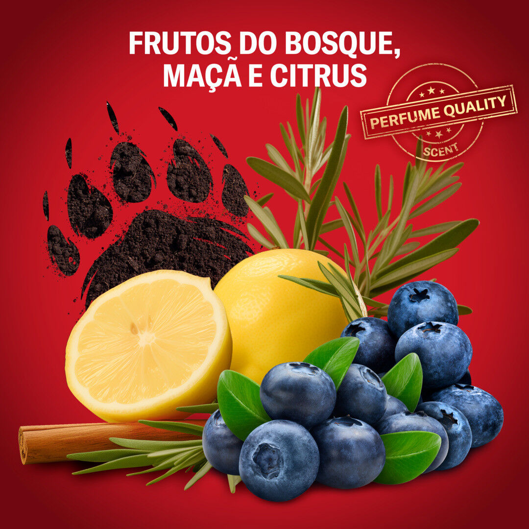 Gel De Duche Bearglove - OLD SPICE -  - Imagem 4