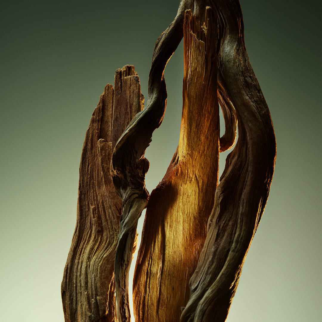 Wood Essence Parfum - BVLGARI - BVLGARI MAN - Imagem 2