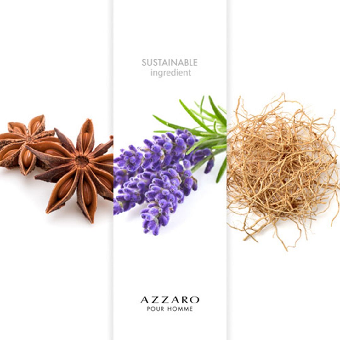 Eau de Toilette - AZZARO - AZZARO/H - Imagem 7