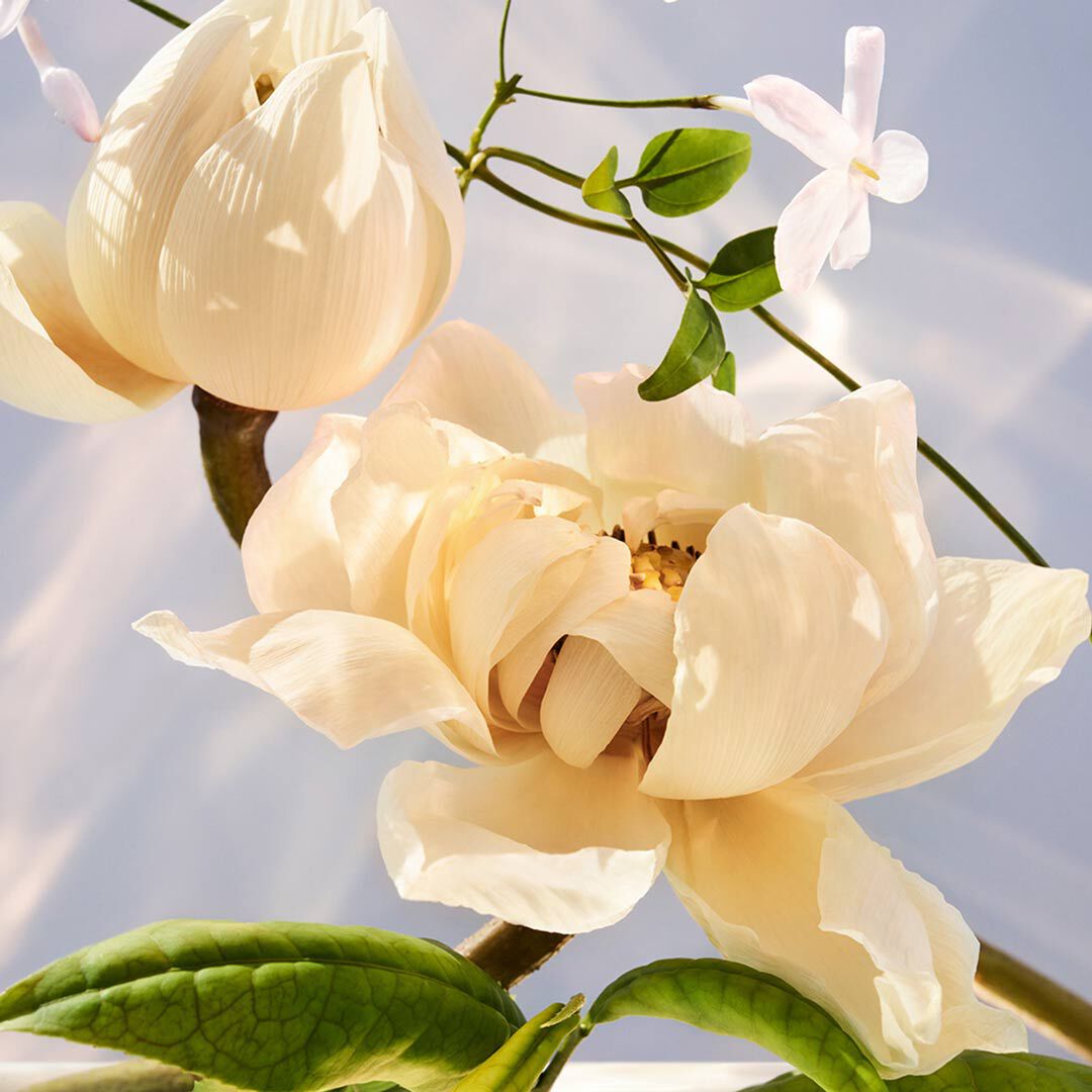 Crystalline Eau de Parfum - BVLGARI - OMNIA - Imagem 4